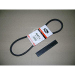 Ремінь клиновий AVX 13х925 (вир-во Gates) 