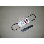 Ремінь клиновий AVX 10х825 (вир-во Gates) 