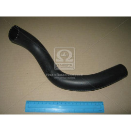 Патрубок радіатора нижній Kia Cerato 06- (вир-во Mobis)