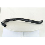 Патрубок радіатора верхній Hyundai Sonata 04- (вир-во Mobis) 