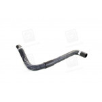 Патрубок радіатора верхній Hyundai Sonata 08- (вир-во Mobis) 