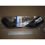 Патрубок радіатора нижній Hyundai HD59/HD60/HD65/HD72 98-/Kia K3600/K3600II 00- (вир-во Mobis) 