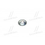 Шайба пружини колодки стопорна (d=5мм) Hyundai H-1 01- (вир-во Mobis) 