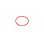 Кольцо уплотнительное водяного насоса Rodius, Stavic, Actyon, Kyron, Musso, Chairman, Actyon Sports, 