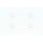 Кільце газового стику фторопласт. ЯМЗ 236  <ДК> 