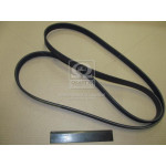 Ремень приводной (вир-во SsangYong) 