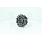 Шестерня 4-5-пер. МТЗ, Zб=27, Zм=24 <ДК> 