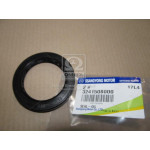 САЛЬНИК (вир-во SsangYong) 