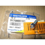 Болт кошика зчеплення (в-во SsangYong) 