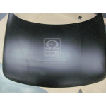 Капот (ви-во Екрис) 