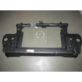 Панель рамки радиатора  (ви-во екрис)