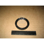 Сальник редуктора моста задн. МАЗ з пруж. 75х100-2, 2 (вир-во Білорусь) 