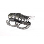 Вкладиші корінні  Н1, Д260 (вир-во Дайдо Металл Русь) 