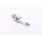 Свічка запалювання (вир-во NGK) 