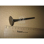 Клапан выпускной (вир-во Mobis) 