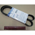 Ремень ГАЗ дв.405 без ГУРа, евро 3 (поликлинов.) (пр-во FINWHALE) 