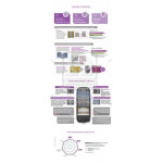 Шина 225/55R16 95H WinGuard Snow*G WH2 (Nexen) 