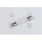 Лампа софітні C5W SV8,5-8 41mm 24V 5W <Tempest> 