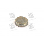 Заглушка блоку циліндрів ВАЗ 2108<ДК> 