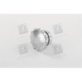 Крышка патрубка в сб. с кольцом упл. <ДК>