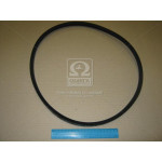 Ремінь B 1250 (ВБ-1250 (вир-во Rubena) 