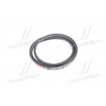 Ремінь А-1750 (вир-во Rubena) 