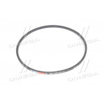 Ремінь C 1800 (СВ-1800) (вир-во Rubena) 