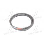 Ремінь B 2650 (ВБ-2650) (вир-во Rubena) 