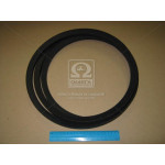 Ремень SPC 3150  (УВ-3150) (пр-во Rubena) 