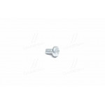 Гвинт М6х10 (вир-во Белебей) 