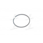 Кільце ущільнювальне КПП (чавун) (вир-во України) 