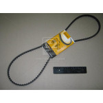 Ремінь зубчатий (ви-во Contitech) 