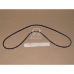 Ремінь зубчатий (ви-во Contitech) 