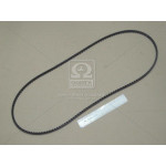 Ремінь зубчатий (ви-во Contitech) 