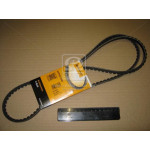 Ремінь зубчатий (ви-во Contitech) 