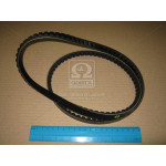 Ремінь зубчатий (ви-во Contitech) 