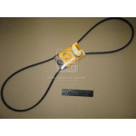 Ремінь зубчатий (ви-во Contitech) 