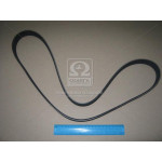 Ремінь доріжковий (ви-во Contitech) 