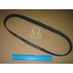 Ремінь доріжковий (ви-во Contitech) 