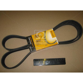 Ремінь доріжковий (ви-во Contitech)