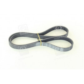 Ремень поликлиновой (Пр-во ContiTech)