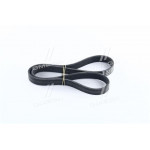 Ремінь полікліновий (Ви-во ContiTech) 