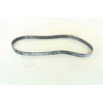 Ремінь поліклиновий (Ви-во ContiTech) 