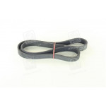 Ремінь поликлиновый (Ви-во ContiTech) 