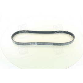 Ремінь поліклиновий (Ви-во ContiTech)