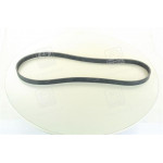 Ремінь поликлиновый (Ви-во ContiTech) 