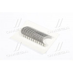 Вкладиші (вир-во GLYCO) 