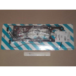 Комплект прокладок (вир-во PAYEN) 