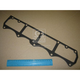 Прокладка двигуна (вир-во PAYEN)