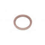 Сальник (вир-во PAYEN) 